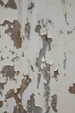 Soyut şekiller, desenler ve soyulmuş beyaz duvarların dokuları. Grunge 'a bak ve eski duvarlar izlenimi ver. Grafik tasarımı için doğal desen ve doku arkaplanı