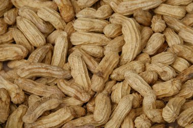 Soyut şekiller, şekiller ve haşlanmış fıstık dokuları. Atıştırmalıklar için. Protein, iyi yağlı karbonhidrat, diyet lifi, E vitamini, B3 vitamini (Niacin), Folate, Magnezyum, Fosfor, Potasyum içerir.