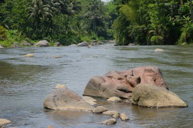 Nehrin ortasında büyük bir kaya ve arkasında ağaçlar var. Uzayı kopyala Değiştirilebilir. Çevresel kavramlarla ilgili. Büyük gri bir taş. Grafik veya pankart tasarımı için