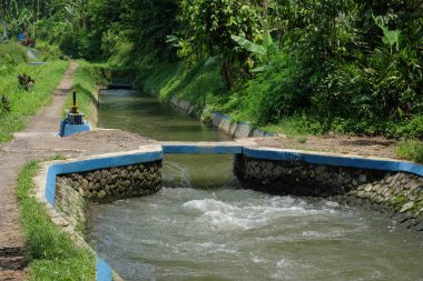 Arkasında ağaçlar olan taştan duvarlar olan sulama kanalı. Alışveriş merkezi beton köprüsü. Temiz su. Irigari kanalı nehirden pirinç tarlalarına. Çevre konsepti.