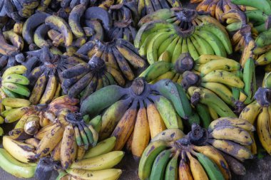 Siyah ve sarı derili olgun muz yığını. Tipik Endonezya muz indirimi için muz. Soyut desenleri ve dokuları olan bir muz yığını. Gıda endüstrisi kavramı