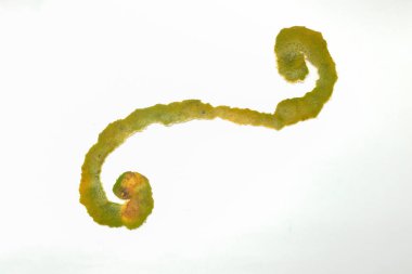 Portakal kabuğunun soyut şekli ve dokusu beyaz arka planda izole edilmiş. Sarımsı yeşil portakal kabuğu. Grafik tasarımı ya da 3B oluşturma için