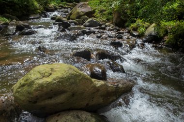 Temiz bir nehrin kenarındaki büyük taşlar. Reklam ürünleri yerleştirmek için taşlar. Sürdürülebilir yeşil çevre kavramı. Pankart arkaplanı veya grafik tasarımı için