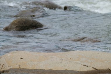 Ürün yerleştirme konsepti için temiz nehir arka planına sahip kayalar. Metin için alanı kopyala. Doğal manzara arkaplanı. Rahatlamak için sakin ve barışçıl bir atmosfer. Grafik tasarımı, 3D canlandırma veya afiş arka planı için