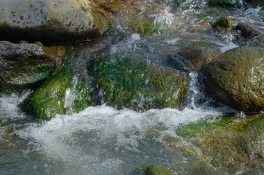 Yosunlu kayaların arasından akan küçük bir nehir. Doğa ve çevre kavramı. Sakinlik ve huzurun etkisi. Rahatlama teması için görüntü.
