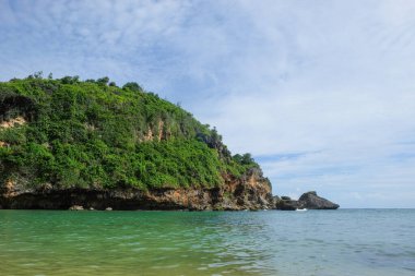 Yeşil bitkilerle birlikte plaj ve mercan adaları manzarası. Doğal manzara. Doğal doğal görüntüler. Turist ve tatil beldeleri kavramı. Grafik tasarımı için, 3B görüntüleme ve pankart arkaplanı