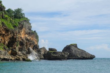 Yeşil bitkilerle birlikte plaj ve mercan adaları manzarası. Doğal manzara. Doğal doğal görüntüler. Turist ve tatil beldeleri kavramı. Grafik tasarımı için, 3B görüntüleme ve pankart arkaplanı