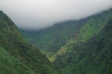 Tepe yamaçlarında doğal bitki örtüsü, mavi gökyüzü ve beyaz bulutlar var. Kırsal alanın manzarası. Havalı ve güzel görünüyor. Ekoloji ve çevre kavramı. Grafik tasarımı için, 3 boyutlu biçimlendirme veya pankart arkaplanı