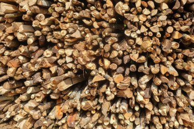 Arkaplan soyut şablonu ve kuru dal yığını dokusu. Yemek pişirme yakıtları için kuru dallar. Geleneksel yakıt kavramı. Grafik tasarımı, 3D canlandırma veya pankart arka planı için