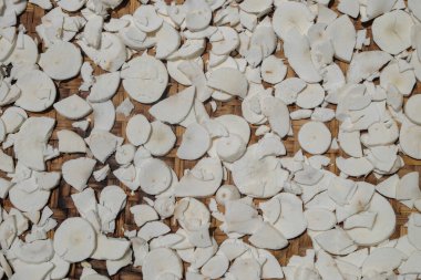 Beyaz manyok dilimlerinin soyut desen ve doku arkaplanı. Gıda endüstrisi konsepti. Grafik tasarımı için, 3 boyutlu biçimlendirme veya pankart arkaplanı