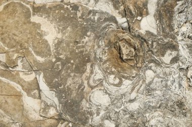 Kireçtaşı yüzeyinin soyut desen ve doku arkaplanı. Grafik tasarımı için, 3 boyutlu biçimlendirme veya pankart arkaplanı