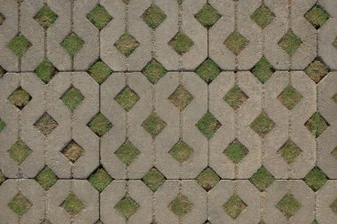 Çimlerin ve kaldırım taşlarının olduğu avlu zemininde soyut şekiller ve desenler var. Ekoloji ve çevre kavramı. Grafik tasarımı için, 3B görüntüleme ve pankart arkaplanı