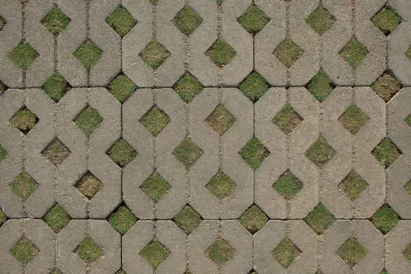 Çimlerin ve kaldırım taşlarının olduğu avlu zemininde soyut şekiller ve desenler var. Ekoloji ve çevre kavramı. Grafik tasarımı için, 3B görüntüleme ve pankart arkaplanı