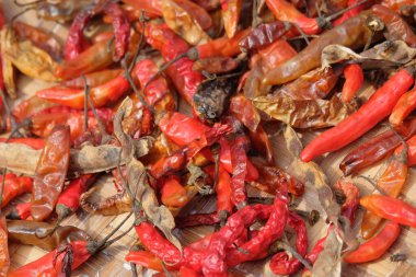 Kırmızı biberler güneşte kurutulmaya başlıyor.Biberler kurumaya başlıyor. Grafik tasarımı için, 3 boyutlu hazırlama veya pankart arkaplanı