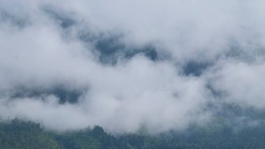 Dağ yamaçları beyaz sisle kaplıdır. Soyut desenler ve dokular. Ekoloji ve çevre kavramları. Grafik tasarımı için alanı kopyala.