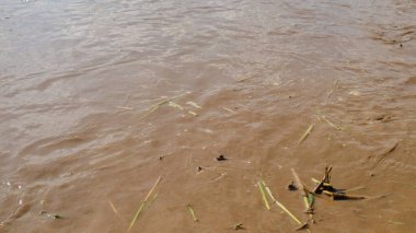 Kahverengi pirinç tarlası çamur deseni ve doku arkaplanı. Tarım endüstrisi konsepti. Grafik tasarımı için, 3B görüntüleme ve pankart arkaplanı