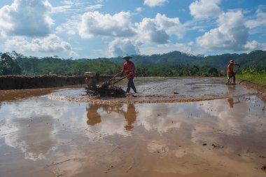 Çiftçilerin pirinç tarlalarını mavi gökyüzü arka planına sahip bir traktör kullanarak sürmelerini izlemek. Tarım endüstrisi konsepti. 27 Şubat 2025 'te Wonosobo, Central Java, Endonezya' da çekildi.