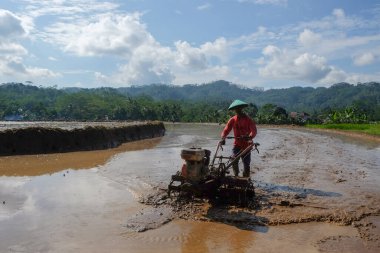 Çiftçilerin pirinç tarlalarını mavi gökyüzü arka planına sahip bir traktör kullanarak sürmelerini izlemek. Tarım endüstrisi konsepti. 27 Şubat 2025 'te Wonosobo, Central Java, Endonezya' da çekildi.