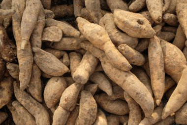 Tatlı patates yığınının arka plan deseni ve dokusu. Tatlı patatesler geleneksel bir pazarda satılır. Tarım endüstrisi konsepti. Grafik tasarımı için, 3 boyutlu görüntüleme ve pankart arkaplanı