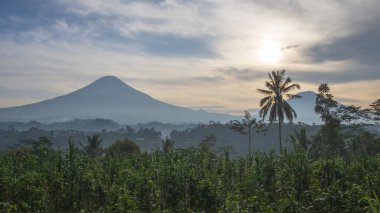 Sabahları dağ manzaralı kırsal alan manzarası. Tipik Endonezya kırsal arazisi. Uzayı metin için kopyala. Grafik tasarımı için, 3B görüntüleme ve pankart arkaplanı