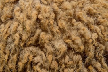 Kahverengi keçi kılı deseni ve doku yapısı. Yumuşak keçi kılı. Grafik tasarımı için, 3B görüntüleme ve pankart arkaplanı