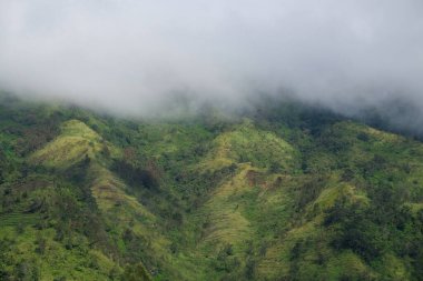 Tropikal orman tepeleri beyaz sisle kaplıdır. Metin için alanı kopyalayın. Ekoloji ve çevre konsepti için. Grafik tasarımı, 3D canlandırma ve afiş arkaplanı