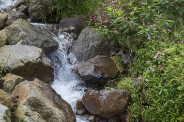 Dağlardaki Rocky deresi. Yeşil çimlerle çevrili temiz su. Ekoloji ve çevre kavramı. Grafik tasarımı için, 3B görüntüleme ve pankart arkaplanı