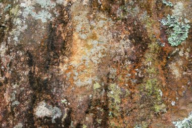 Grunge yosunu kaya yüzeyini kaplamış. Kaya yüzeyinin soyut desen ve doku arkaplanı. Ekoloji ve çevre kavramı. Grafik tasarımı için, 3B görüntüleme ve pankart arkaplanı