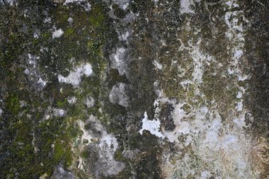 Grunge duvar dokusu arka planı. Grafik tasarımı için, 3B görüntüleme ve pankart arkaplanı