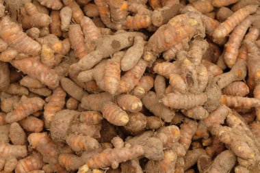 Zerdeçal yığınını kapat. Ham zerreciklerin soyut desen ve doku arkaplanı. Grafik tasarımı için, 3D görüntüleme ve pankart arkaplanı