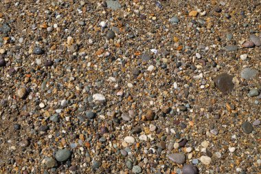 Islak plaj sütunlarının soyut doku arkaplanı. Metin için alanı kopyala. Grafik tasarımı, afiş arkaplanı ve 3D görüntüleme için alanı kopyala