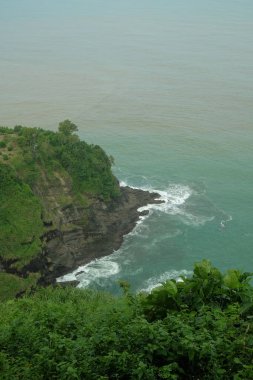 Yemyeşil ağaçlı sahil uçurumunun en üst manzarası. Ekolojik ve çevresel kavram. Grafik tasarımı, pankart arkaplanı ve 3B oluşturma için