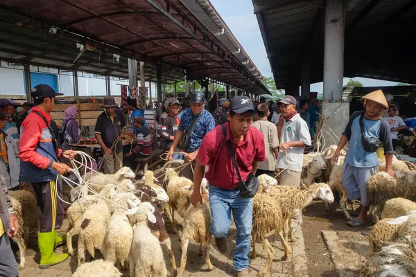 Geleneksel Endonezya hayvan pazarında keçi alıp satma atmosferi. Kurban Bayramı 'nın akrabası. Grafik tasarımı için, 3D görüntüleme ve pankart arkaplanı. 9 Mayıs 2025 'te Wonosobo, Central Java, Endonezya' da çekildi.