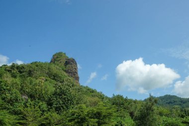 Tropikal yağmur ormanlarındaki yüksek tepelerin manzarası. Yeşil orman ağaçları. Gündüz mavi gökyüzü arkaplanı. Ekoloji ve çevre kavramı. Grafik tasarımı için, 3B görüntüleme ve pankart arkaplanı