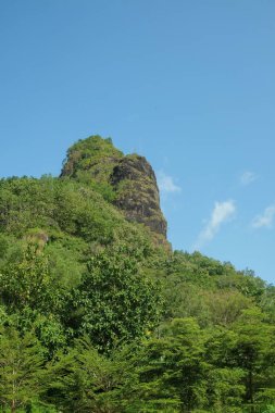 Tropikal yağmur ormanlarındaki yüksek tepelerin dikey görüntüsü. Yeşil orman ağaçları. Gündüz mavi gökyüzü arkaplanı. Ekoloji ve çevre kavramı. Grafik tasarımı için, 3B görüntüleme ve pankart arkaplanı
