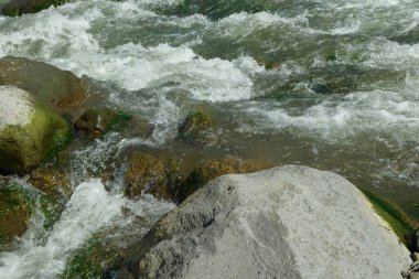 Berrak bir dağ nehrinin kenarındaki büyük kayaların görüntüsü. Reklam ürünü yerleştirme ihtiyaçları için. Grafik tasarımı, afiş arkaplanları ve 3D canlandırma için