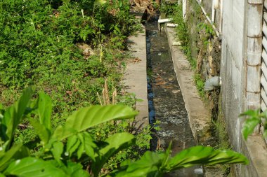 Kirli ve sağlıksız ev atıkları. Sağlık ve çevre kavramı. Atık dolu olukta su. Grafik tasarımı için, 3B görüntüleme ve pankart arkaplanı