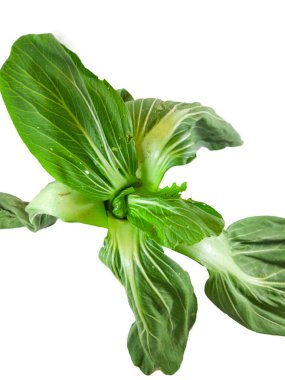 close up shot of green bok choy or chinese cabbage vegetables on isolated white background. clipart