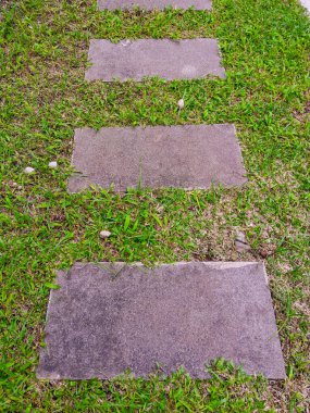 Yeşil çimenli bir bahçedeki doğal taş patika günün ve manzaranın keyfini çıkarmak için sakin bir yürüyüş için uygundur..