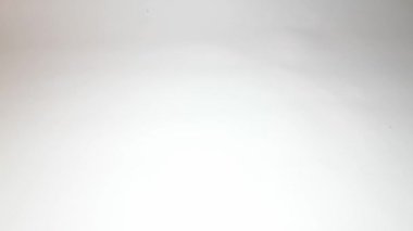 Aromatik otlar ve baharatlar Piper retrofraktum Vahl veya kurutulmuş Java biberi izole edilmiş beyaz arka planda düşer, yemek pişirme video konsepti.