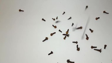 Kurumuş karanfiller izole beyaz arka plana düşüyor, yemek pişirme çeşnili video konsepti.