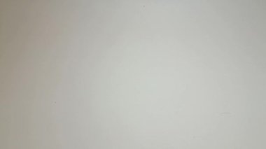 Kurumuş karanfiller izole beyaz arka plana düşüyor, yemek pişirme çeşnili video konsepti.