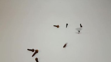 Kurumuş karanfiller izole beyaz arka plana düşüyor, yemek pişirme çeşnili video konsepti.