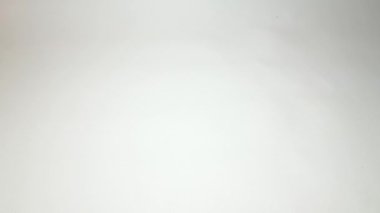 İzole edilmiş beyaz arka plana düşen kuru kakule, yemek pişirme çeşnili video konsepti.