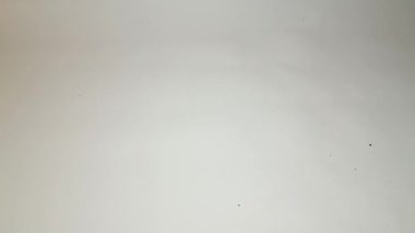 İzole edilmiş beyaz arka plana düşen kuru kakule, yemek pişirme çeşnili video konsepti.