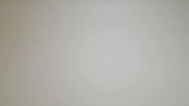 Kurumuş çınar otu izole edilmiş beyaz arka plana düşüyor, yemek pişirme çeşnili video konsepti.