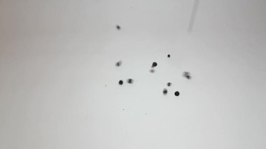 Karabiber ya da karabiber düşer ve dağılır, yemek pişirme baharatları videosu..