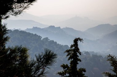 Ege kıyısındaki çam ağaçlarıyla kaplı puslu dağlar akşam güneşiyle aydınlanır.