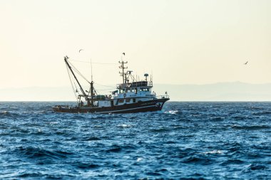 Sarı bacaklı martılarla dolu bir balıkçı gemisi