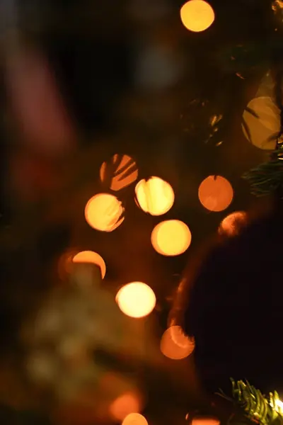 Bokeh ışıkları olan Noel ağacı, kopya alanı olan Noel arkaplanı